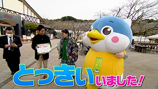静岡第一テレビ「まるごと」にて「丸山桂里奈さん」が「時之栖スタンプラリー」に挑戦していただきました！
